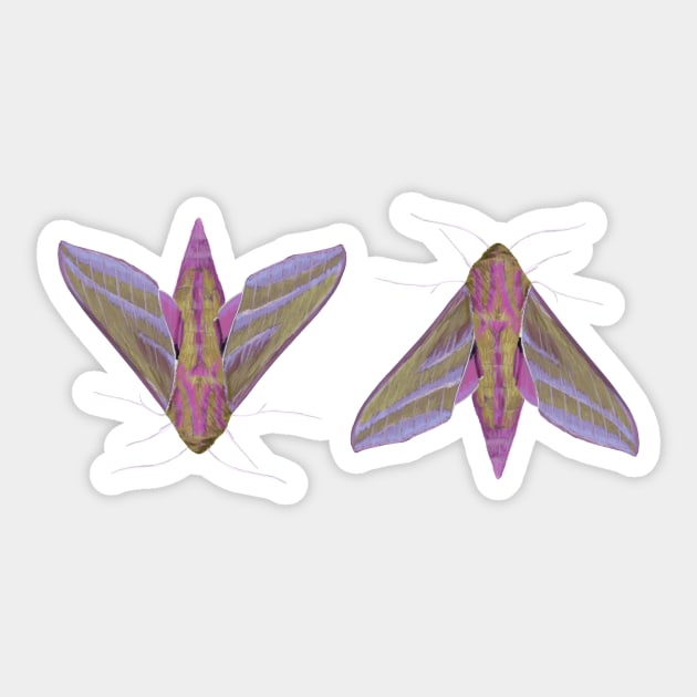 Pink Moths Sticker by artsandherbs